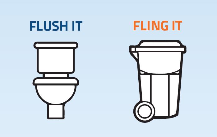 Flush or Fling - Activity Zone